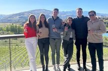 Private Central Otago Wine Tour (for Groups of 2–10)