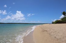Low Island and Lagoon Snorkeling with Beach Access