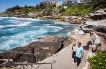 Sydney City Highlights & Hidden Gems: Private or Small Group Tour