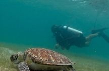Scuba Diving No Experience Needed Videos Included