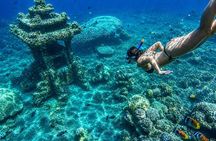 Bali Amed 4 Spot Snorkeling: Turtle Point and Under Water Temple