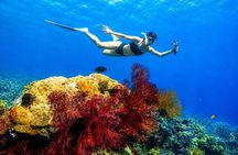 Bali Amed 4 Spot Snorkeling: Turtle Point and Under Water Temple