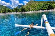 Bali Amed 4 Spot Snorkeling: Turtle Point and Under Water Temple