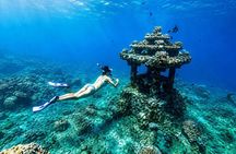 Bali Amed 4 Spot Snorkeling: Turtle Point and Under Water Temple