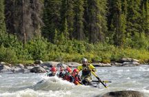 Half Day Raft at the Boreal in Nenana River