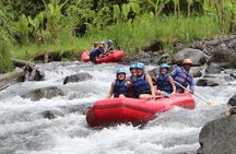 Rafting , Quad Bike , Jungle Buggy , Caycling