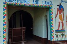 Authentic Luxor: West Bank Family Farm & Animal Visit