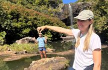Hiking Experience in Mauritius: Tamarind Falls (seven cascades)