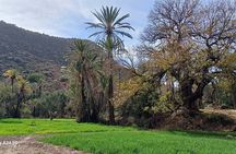 Private Imouzzer Day Trip Inzerki Valley of Paradise