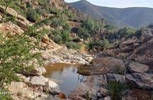 Private Imouzzer Day Trip Inzerki Valley of Paradise