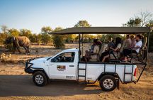 Game Drive in Zambezi National Park, Victoria Falls