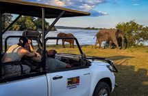 Game Drive in Zambezi National Park, Victoria Falls