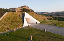 Cellar Tour and Tasting at Artesa Winery
