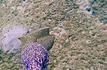 Snorkeling in Paradise