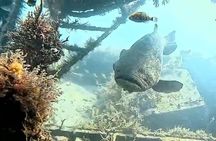 Snorkeling in Paradise
