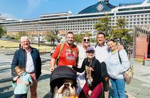 Hiroshima Peace Memorial & Miyajima Private Car Tour