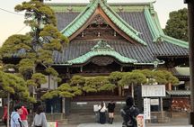 Private Day Tour of Nikko from Tokyo Personalized Experience