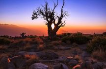 Private Misfah Al Abriyyin Heritage and Jebel Shams Adventure