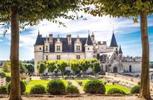 Amboise Town & Royal Castle Audioguide +General Access Experience