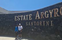 Santorini Wine Tasting & Oia Scenic Tour