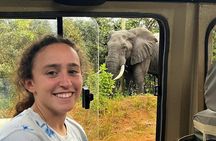 2 Day Mikumi Safari by Train and Boat from Zanzibar