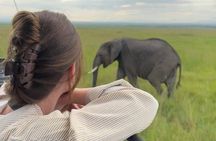 2 Day Mikumi Safari by Train and Boat from Zanzibar