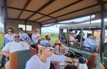 2 Day Mikumi Safari by Train and Boat from Zanzibar