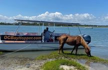 OC Bay Hopper - Assateague Island Cruise