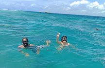 Mnemba Island Snorkeling and Dolphins Tour