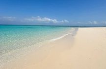 Mnemba Island Snorkeling and Dolphins Tour