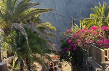 Tour to Masca and Los Gigantes with Natural Pools and Picnic