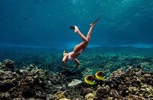 Molokini Crater Snorkel, Sailing Adventure with Breakfast & Lunch