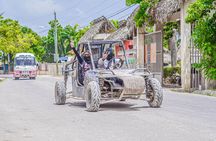 Small group VIP buggy and ATV tour