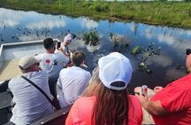 Everglades Eco Tour: Airboat, Wildlife & up 2 Private Islands