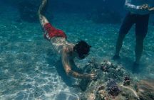 Hilton Moorea Coral Planting Eco Tour Restore the Reef