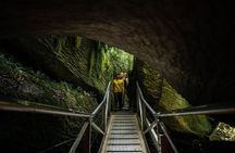 3 Day Doubtful Sound Overnight Cruise and Glowworm Tour from Queenstown