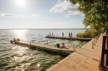 Valencia: Albufera Express with Boat Ride, Local Guide & Drink