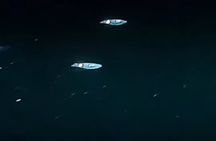 After Dark Snorkel Adventure