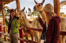 Sacred Valley VIP Tour with Maras and Moray