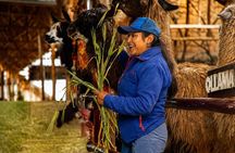 Sacred Valley VIP Tour with Maras and Moray