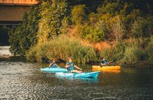 Napa River Sunset Kayak Tour