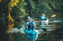 Napa River Sunset Kayak Tour