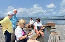 Kagoshima Private Car Tour: Kamikaze Museum and Sengan-en