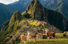 Machu Picchu Day Trip with Vistadome Train