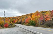 Cabot Trail, Ingonish Sceneic Small Group Tour Cape Breton Island