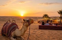 Al Madam Ghost Village & Red Dune Safari, BBQ Dinner & Live Shows
