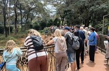 Nairobi Day Tour to Giraffe Centre and Kobe Beads Factory