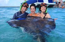 Stingray Adventure and Long Bay Beach