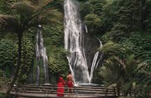 Bali Waterfall Tour – Hidden Waterfalls Private & All-Inclusive