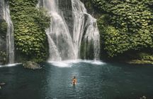 Bali Waterfall Tour – Hidden Waterfalls Private & All-Inclusive
